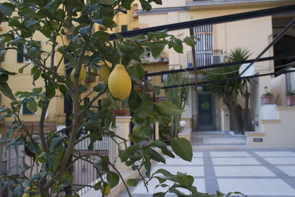 Il Giardino Di Haas Affittacamere Napoli